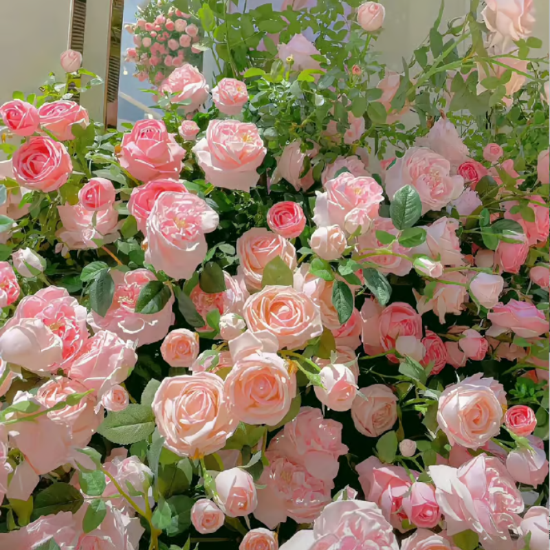 Climbing Rose Seeds ~ Transform fences into floral walls naturally